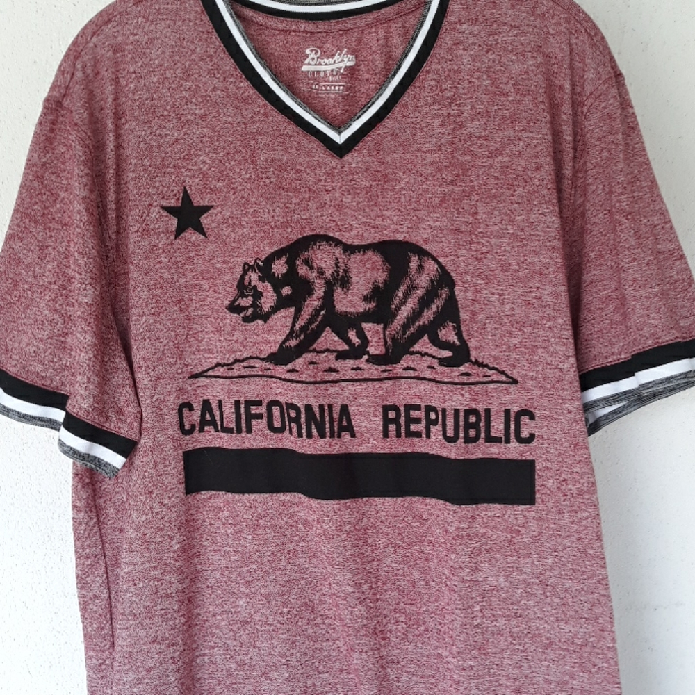 Mens short sleeve v-neck shirt
